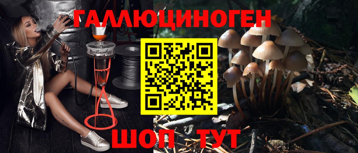 Галлюциногенные грибы мухоморы  Вход с VPN  Россия  Псилоцибиновые грибы Psilocybine cubensis 